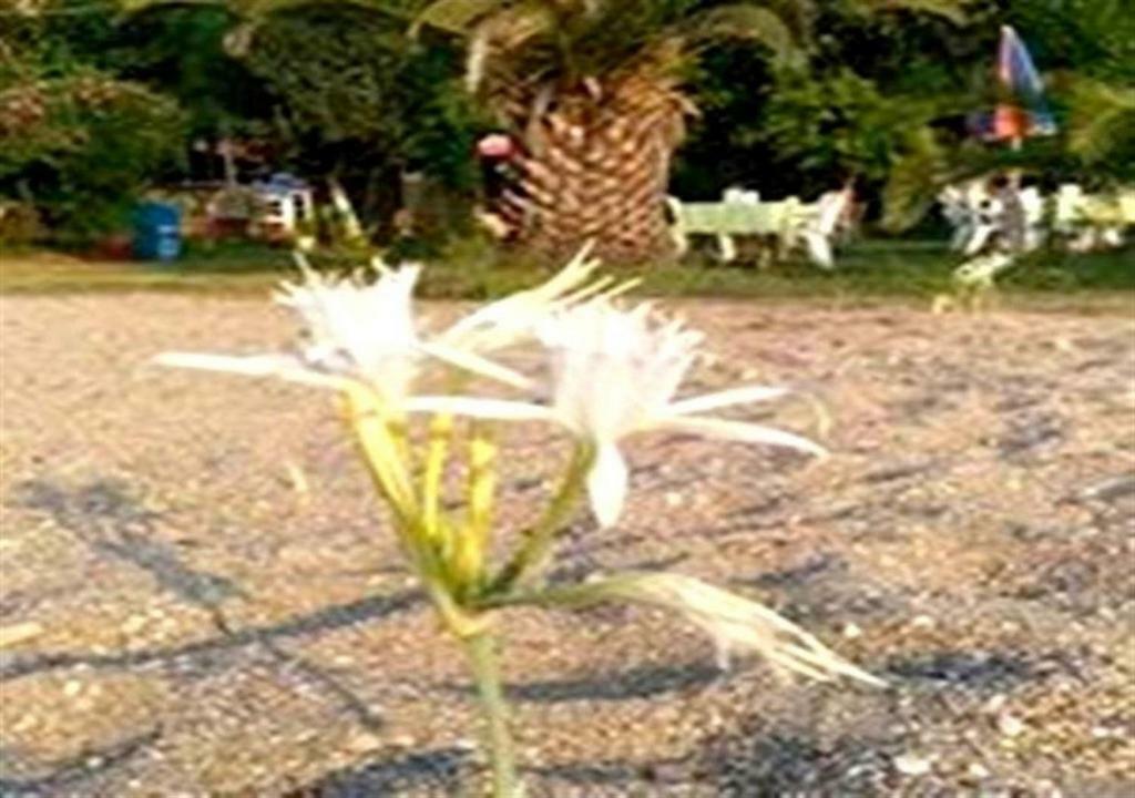 Aslihan Motel Anamur Esterno foto