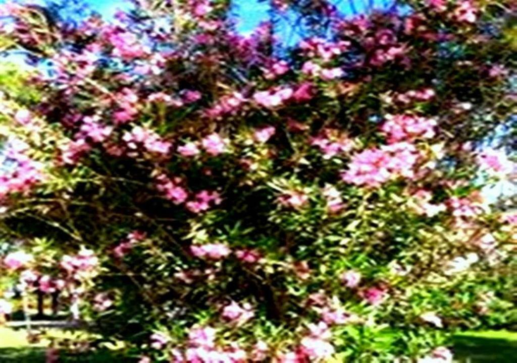Aslihan Motel Anamur Esterno foto